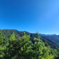 大雪山賞楓．第二人折$300．【迷你小車團.四人成行】大雪山旅遊｜神木、天池觀景台一日遊｜台中出發