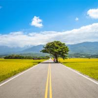 台東．鐵道旅遊台鐵兩人成行｜金崙溫泉．單車遊池上伯朗大道．加路蘭遊憩區．三仙台風景區三日｜高雄出發