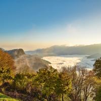 嘉義｜過年預購折500．阿里山迎新年.二萬平車站.二萬平(黑森林)步道.奮起湖車站.龍雲農場2日｜高雄台南