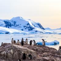 2026璽寶追夢號南極半島22日｜登陸南極‧探索極地生態‧巴西阿根廷雙面伊瓜蘇尊享路線