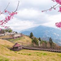 南投旅遊|一次遊覽百岳&櫻花~清境櫻花羊咩咩~征服石門山.埔里地母廟二日