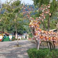 嘉義旅遊｜迷糊步道．鄒族逐鹿文創園區．入住阿里山園區飯店二日｜中部出發