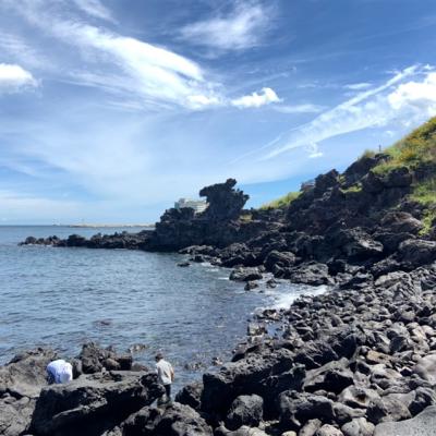 濟州無購物｜絕美海景涉地岬．火山丘城山日出峰．朝聖非常律師拍攝地觀音寺．品嚐鮑魚海鮮鍋、黑豬肉吃到飽．星光夜市五日|高雄