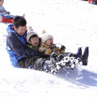 省最大北海道旅遊｜雪盆戲雪.海洋公園.企鵝遊行.洞爺湖.昭和新山.小樽漫遊.溫泉螃蟹五日｜保住一晚溫泉