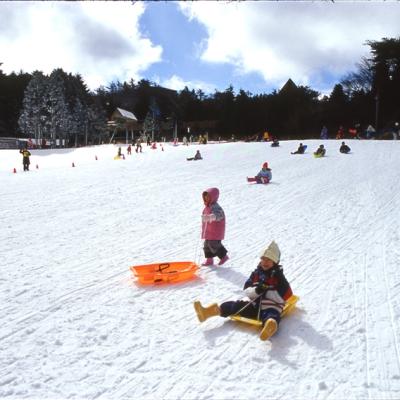 寒假折2,000｜京阪神奈.六甲山戲雪.環球影城.宇治平等院.奈良小鹿五日｜保住兩晚環球旁飯店