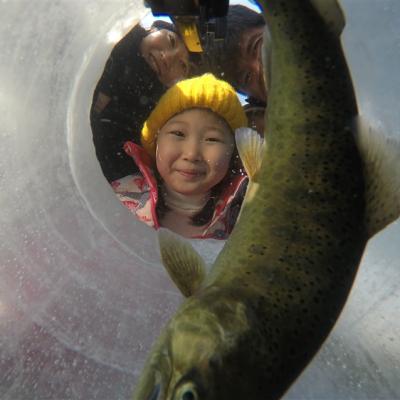 慢遊首爾半自助｜韓冬滑雪＋華川冰魚節《冰釣鱒魚_烤鱒魚_冰上雪橇》.一日自由活動.住近明洞兩晚自由逛(一站彩妝購物)五日