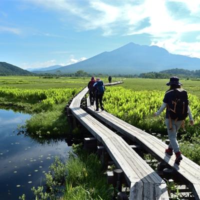 日本最大高原溼地～尾瀨之原健行6日(含小費)