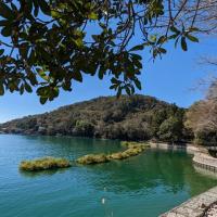 南投旅遊｜暨大櫻花季｜日月潭遊湖．伊達邵親水步道．喝喝茶一日｜中部出發