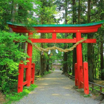 客製｜東北北海道雙城遊~四大溫泉~奧入瀨溪.青森蘋果神社.函館夜景.洞爺湖深度七日遊【專屬包車】※不含機票