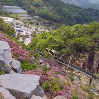 首爾旅遊｜升等住萬豪集團RYSE.水原星空圖書館.穿韓服遊景福宮.南怡島美境.弘大自由逛.超市補貨趣(一站購物彩妝)五日