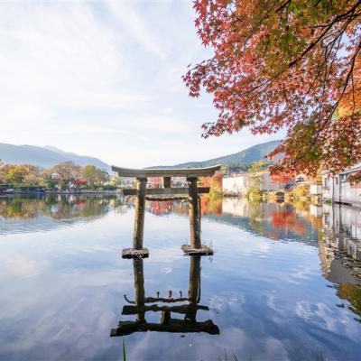 超值九州｜虎航｜必去湯布院.金鱗湖.柳川遊船.天空步道.太宰府天滿宮.LaLaport購物中心.四日｜高雄直飛