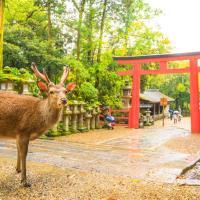 省最大超值四都京阪神奈│奈良東大寺.梅花鹿公園.嵐山渡月橋.開運達摩勝尾寺.有馬溫泉散策.日本環球影城六日