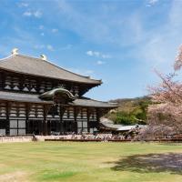 星宇春櫻雙城～名古屋京都｜國寶犬山城.淀川背割堤櫻.醍醐寺.伊勢神宮.奈良餵鹿體驗.舟遊近江八幡.雙和牛餐.甜點世界五日