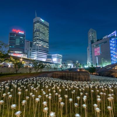 玩轉首爾｜東大門華美達自由行5日｜酷航/贈WIFI/贈交通卡