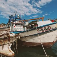 指定日期買一送一｜台中旅遊｜台中最大觀光魚港~梧棲漁港海鮮小吃大採買.大甲鎮瀾宮.天津年貨大街一日