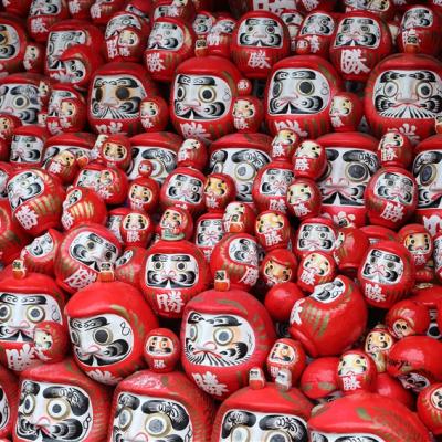 客製｜大阪環球影城.章魚燒DIY.超萌療癒兔子咖啡廳迷你小團五日【專屬包車】天天出發※不含機票