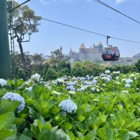 越南旅遊|中越.峴港巴拿山佛手橋.會安古鎮.打卡網紅熱點.美食饗宴.魅力峴港秀五日|升等兩晚五星飯店.台中出發