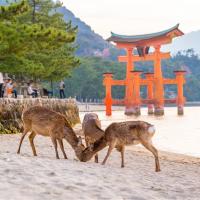 客製｜深度關西四國~和歌山熊野三段壁.鳴門海峽.金刀比羅宮.嚴島神社.瀨戶內.道後溫泉迷你小團7日【專屬包車】※不含機票