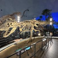 大阪北陸｜親子～名古屋樂高樂園.水族館.恐龍博物館.自動車博物館.蕎麥麵DIY五日｜萬怡酒店｜高雄