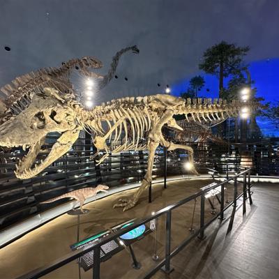 兒童最高折一萬｜暑假親子～名古屋樂高樂園.水族館.恐龍博物館.自動車博物館.蕎麥麵DIY.甜蝦吃到飽.溫泉五日｜萬豪系列