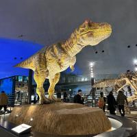 兒童最高省1萬｜親子樂園｜日本環球影城.樂高主題樂園.水族館.勇闖恐龍世界.LaCollina甜點.螃蟹溫泉六日(阪名)