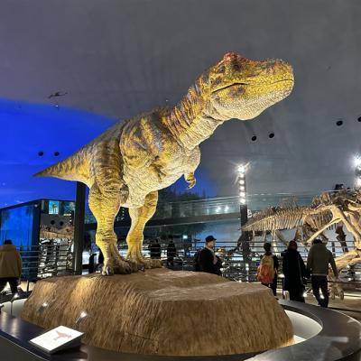 兒童最高省1萬｜親子樂園｜日本環球影城.樂高主題樂園.水族館.勇闖恐龍世界.LaCollina甜點.螃蟹溫泉六日(阪名)