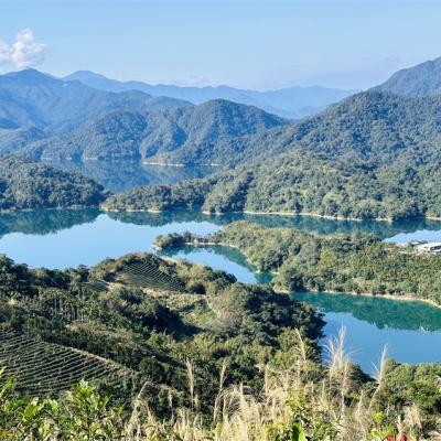 新北旅遊｜免小費.4人成行！絕美石碇千島湖.遠眺八卦茶園.秘境文山草堂品咖啡.遠離城市半日｜可包團