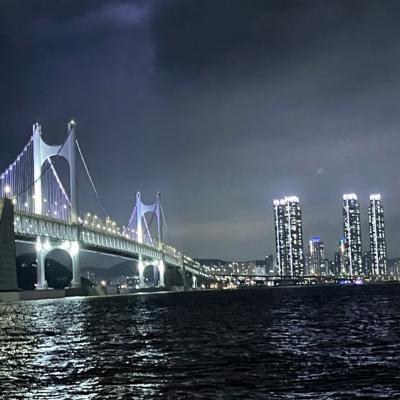 釜山無購物｜綜藝玩很大~浦項一日遊.影島太宗臺（含遊園車）.海雲台海岸列車.樂天超市(無購物)五日