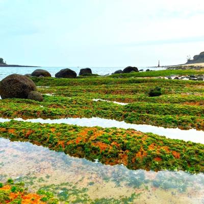 金門旅遊｜【仙境金門】小金門夢幻綠石槽．大金門奇幻藍眼淚．翟山坑道3日｜高雄出發