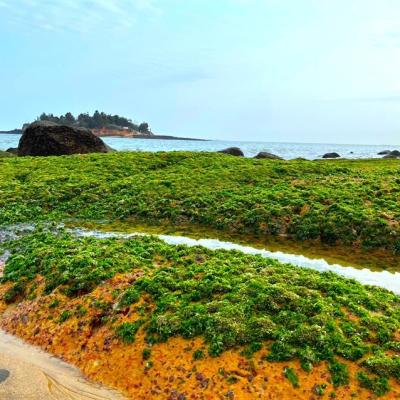 金門旅遊｜小金門夢幻綠石槽．大金門奇幻藍眼淚3日