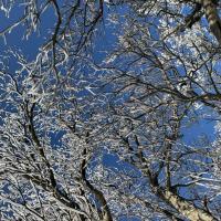 客製｜北陸上高地~樹冰雪地健行、大正池、吉卜力樂園、白川鄉合掌村迷你小團五日※不含機票