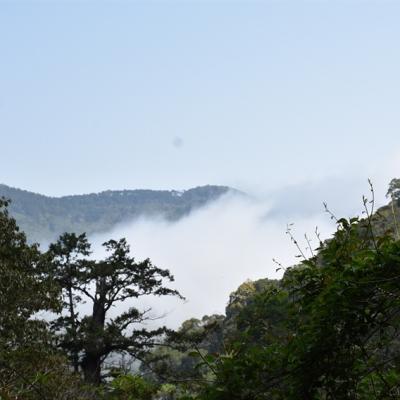 桃園旅遊｜第二人折3000.東眼山.拉拉山深度之旅.山嵐繚繞.原味餐桌.泰雅文化二日