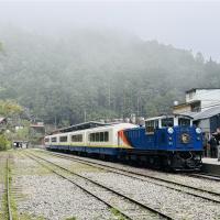 嘉義旅遊｜阿里山火車.栩悅號.國家森林步道巡禮.絕美二萬平二日｜高鐵來回