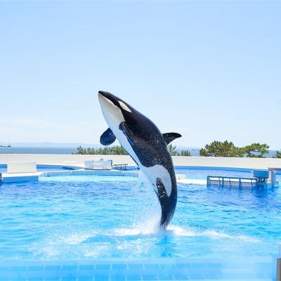 暑假京阪神奈｜神戶須磨水族館.環球影城.宇治川遊船.奈良小鹿五日｜保住環球旁飯店
