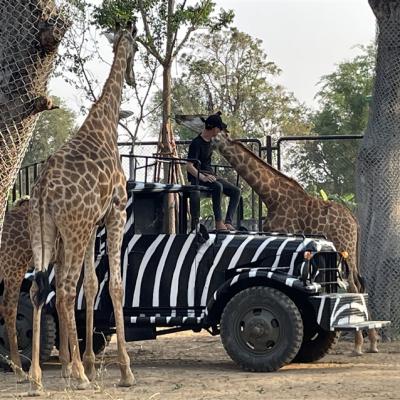 泰國｜大城獅子動物園、王朝古都巡禮、嘟嘟車遊大城、河畔米推料理、浪漫夜遊湄南河5日｜兩人成行