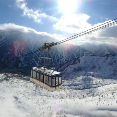 立山黑部雪牆～花現春櫻雙絕景｜千年臥龍櫻.合掌村.伊勢神宮.名古屋城.高山~飛驒牛.贈赤福點心六日｜福朋喜來登.五星湯宿