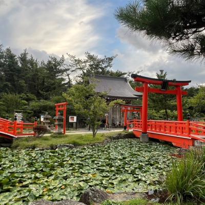 春遊東北|全程溫泉.青森秘境~高山稻荷神社~千鳥居.鶴の舞橋.秋田鐵道~繩文號列車.嚴美溪.德仙丈山.螃蟹和牛五日