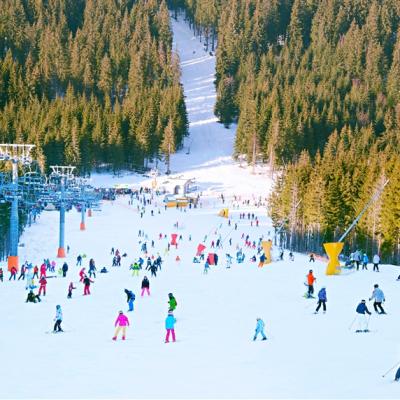 冬季務釜之旅｜安排~汗蒸幕.入住滑雪渡假村.徜徉日落餘韻～木浦天空步道.沉浸媒體藝術展~全球最大ArteMuseum5日