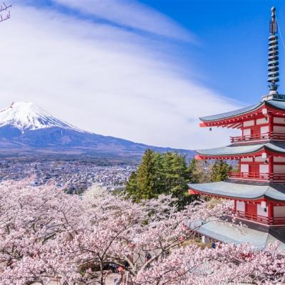 櫻紛飛東京｜富士山春櫻美景.身延山纜車.河口湖天晴號.小石川後樂園.新宿御苑.美食溫泉六日｜高雄來回