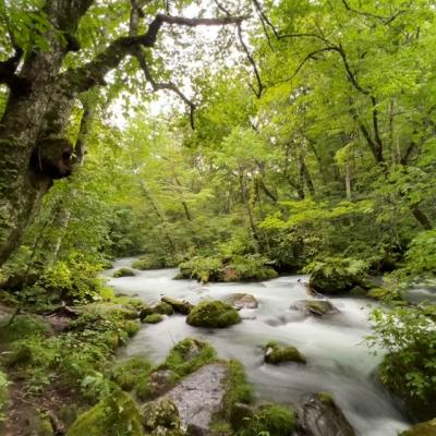 三零深度東北六縣旅遊|百選溫泉.奧入瀨溪.銀山溫泉街.嚴美溪.合掌村.五色沼.牧場花園.仙台水族館.和牛.美酒八日