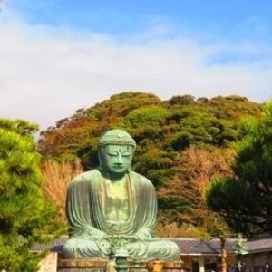 【日本旅之行】鶴岡八幡宮&小町通+長谷寺+高德院+江之島 一日遊