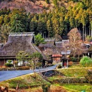 【日本旅之行】天橋立智恩寺&遊覽船&傘松公園+美山茅屋之里 一日遊