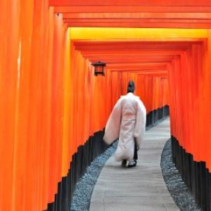 【神姬巴士】伏見稻荷大社+清水寺+金閣寺+嵐山 一日遊