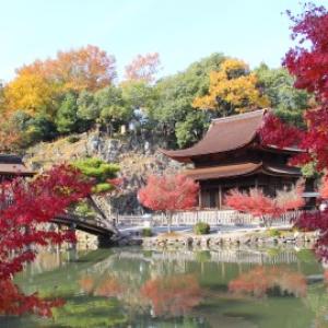 【日本旅之行】虎溪山永保寺+惠那峽+馬籠宿+妻籠宿 一日遊