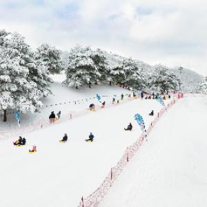 韓國-洪川大明SONO VIVALDI PARK滑雪度假村(首爾出發)|二日遊