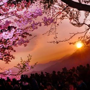 嘉義-阿里山國家森林遊樂區門票全票| 國人限定