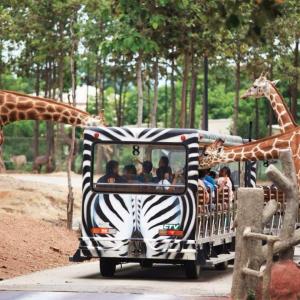 泰國-清邁夜間動物園門票Chiang Mai Night Safari