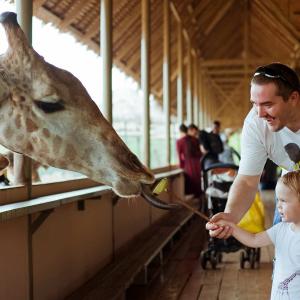 泰國-曼谷塞福瑞野生動物園門票 Safari World Ticket