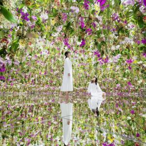 日本-東京豐洲新型態美術館 teamLab Planets TOKYO 門票