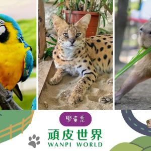 台南-頑皮世界野生動物園| 學童票